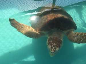 011d057891e772a32842a2f8b5de2dadbc7615ca6d