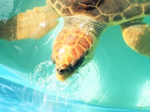 019e4070f3f3770de085fd94d26b07e0213be1a8b3