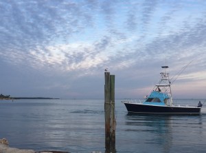 011ae1b34a071bf16541b91589c66645fb2ade2107