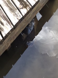 0128a81344416ecb780a8c687f88eadb4a2136354d