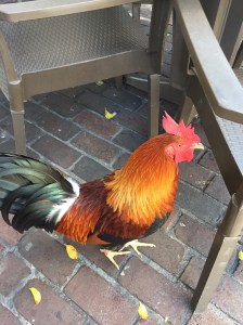 0129e285af17e08b1b4aa631369b99cc1f0954b19b