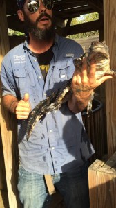 01872d81553800c0e2b1e26743374303c1a4cfd8a4