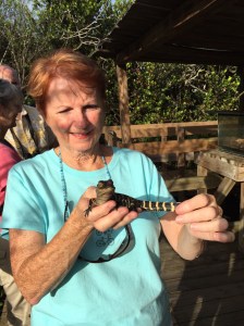 019829eb06c67a9446c02b151762400299d35d3aed