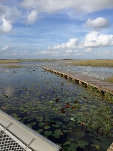 01cbdd025d9f27a5a69b08e81b142a7ba95c6f664d