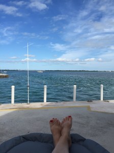 01fed92cdda1b3b0205a5a327e3b2d6f2eb7e4240a