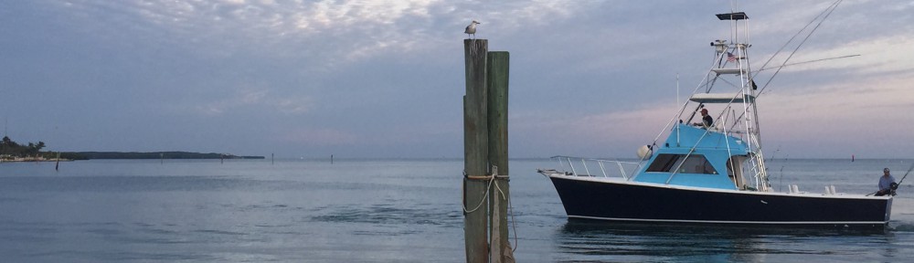 Amiee's RV Adventure….my answer to a midlife crisis